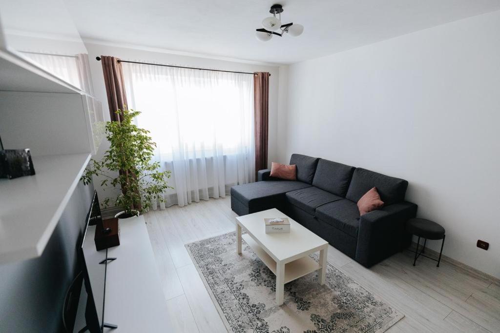 Scandinavian house Appartement Târgu Jiu Buitenkant foto